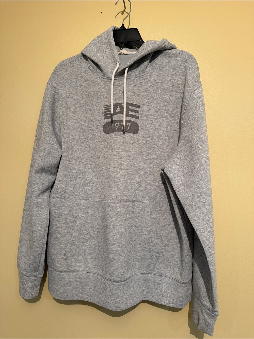 American Eagle Outfitters Heather Gray AE 1977 Pullover Hoodie
